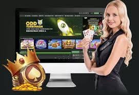 333 bets